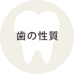 歯の性質